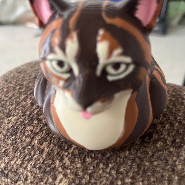 Photo Etsy buyer shared with their Etsy review