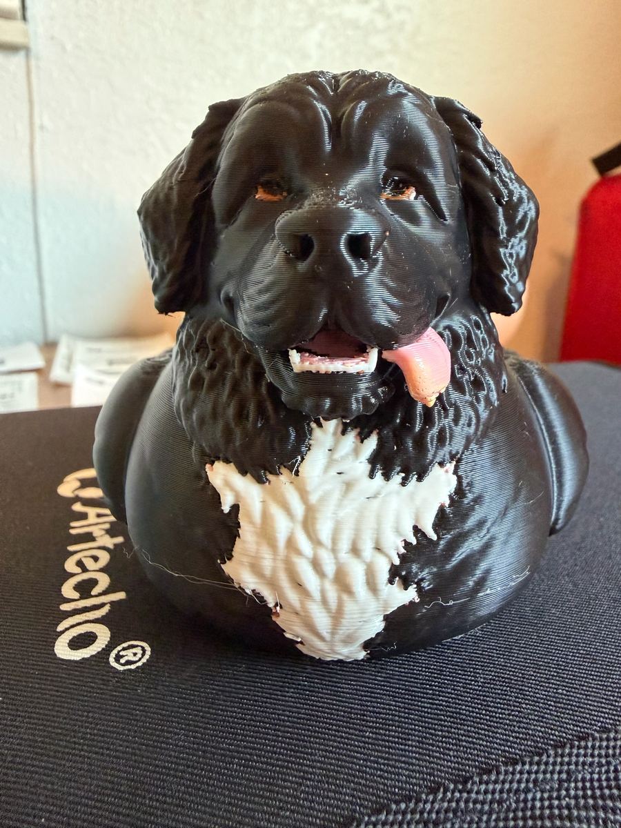 Max+Me 3D custom duck 2