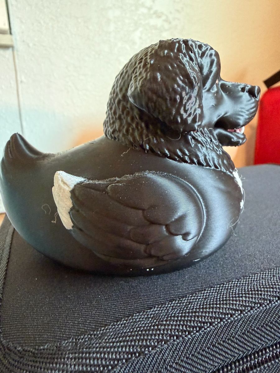 Max+Me 3D custom duck 6
