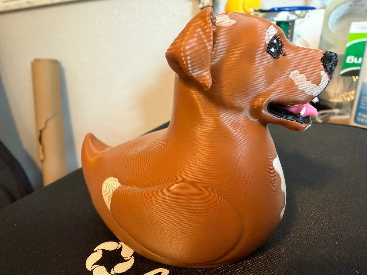 Max+Me 3D custom duck 7