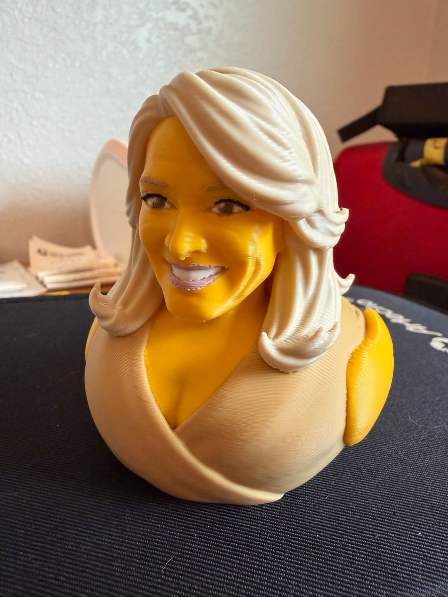 Max+Me 3D custom duck 14