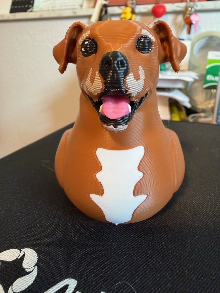 Max+Me 3D custom duck 15