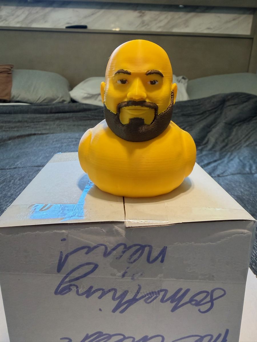 Max+Me 3D custom duck 51