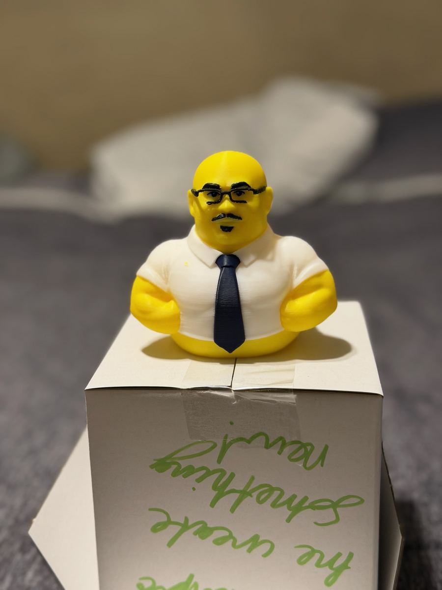 Max+Me 3D custom duck 60