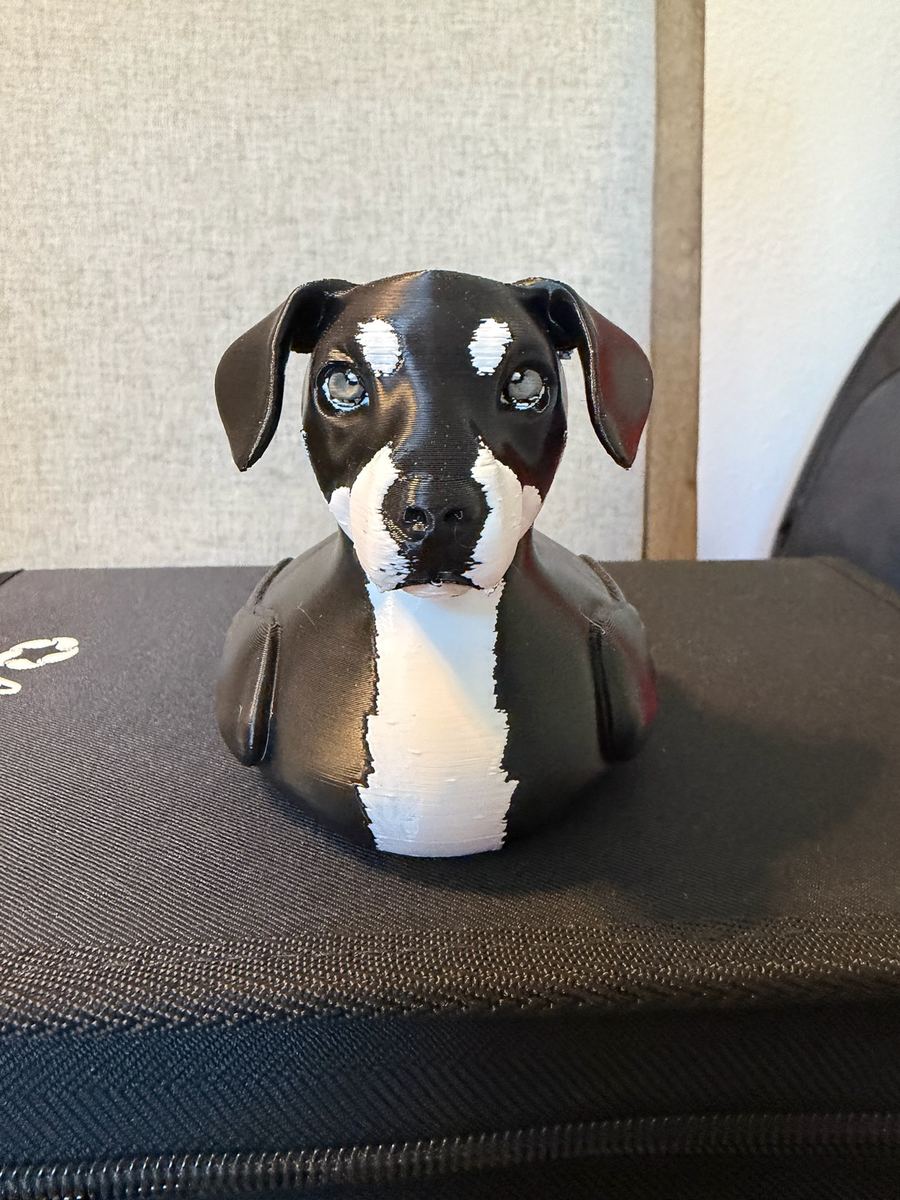 Max+Me 3D custom duck 80