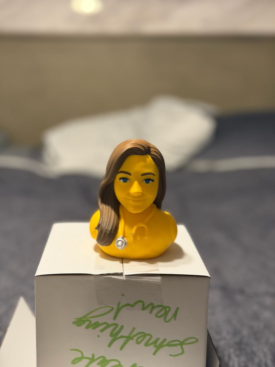 Max+Me 3D custom duck 87