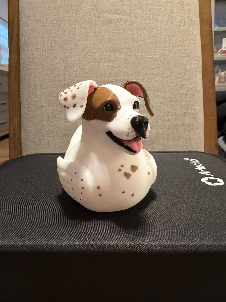Max+Me 3D custom duck 88