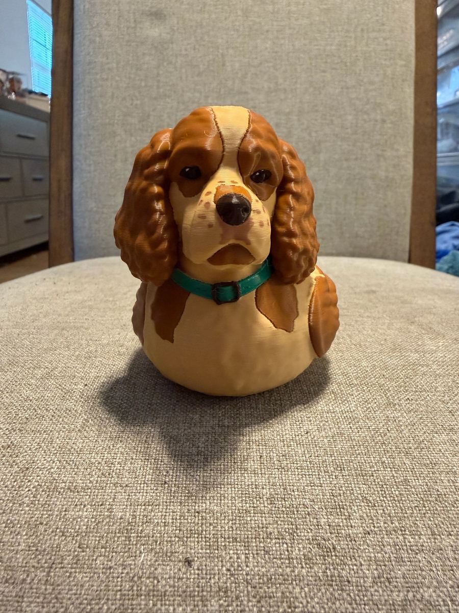 Max+Me 3D custom duck 97