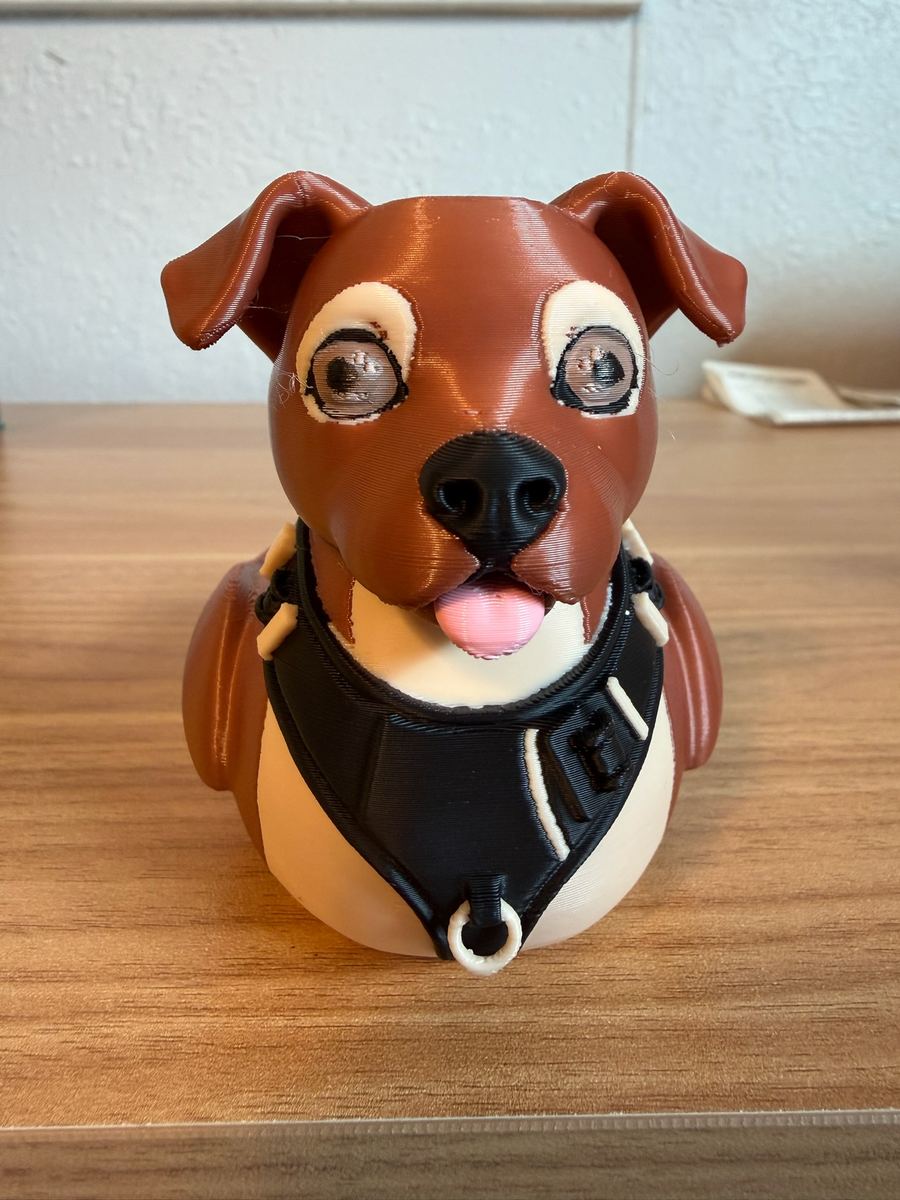 Max+Me 3D custom duck 100