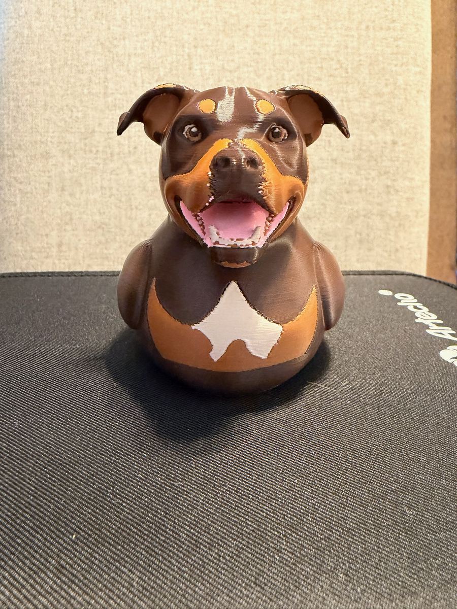 Max+Me 3D custom duck 111