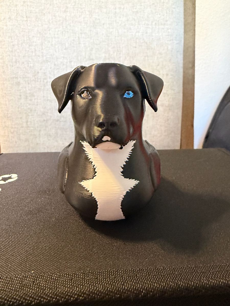 Max+Me 3D custom duck 116
