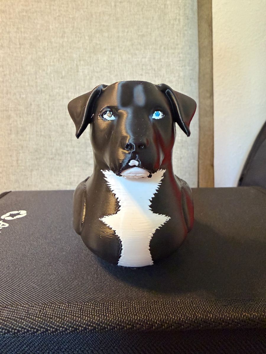 Max+Me 3D custom duck 131