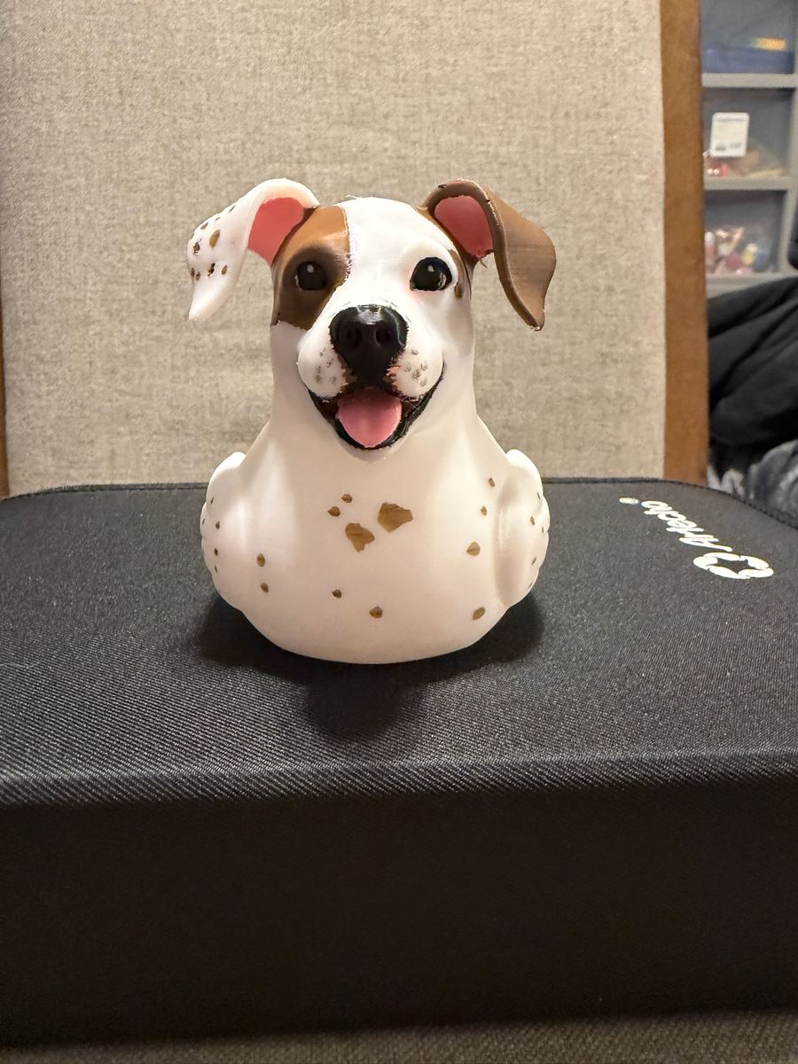 Max+Me 3D custom duck 156
