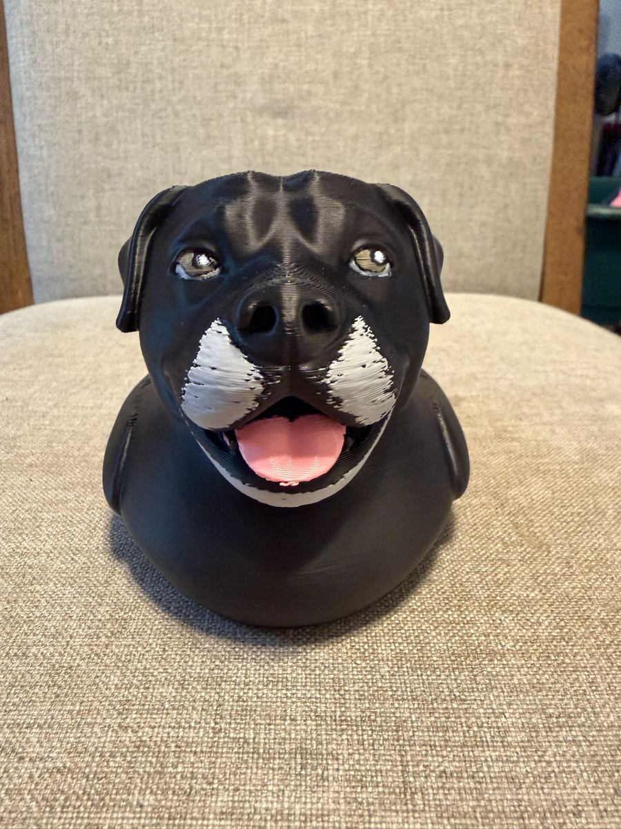 Max+Me 3D custom duck 195