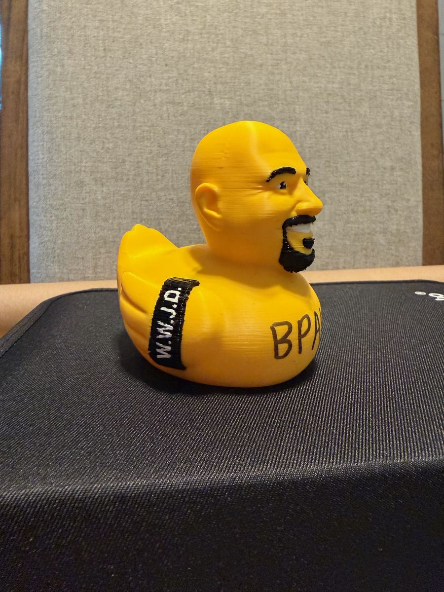 Max+Me 3D custom duck 196