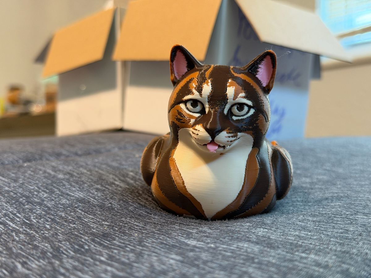 Max+Me 3D custom duck 207