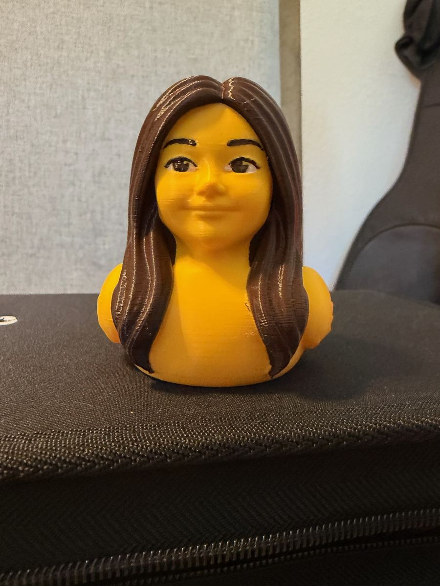 Max+Me 3D custom duck 210