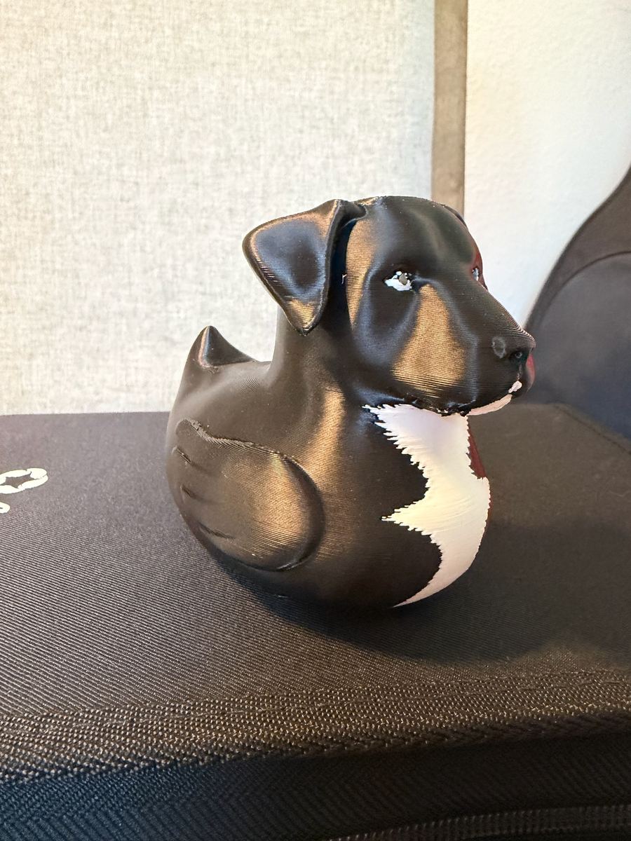 Max+Me 3D custom duck 228